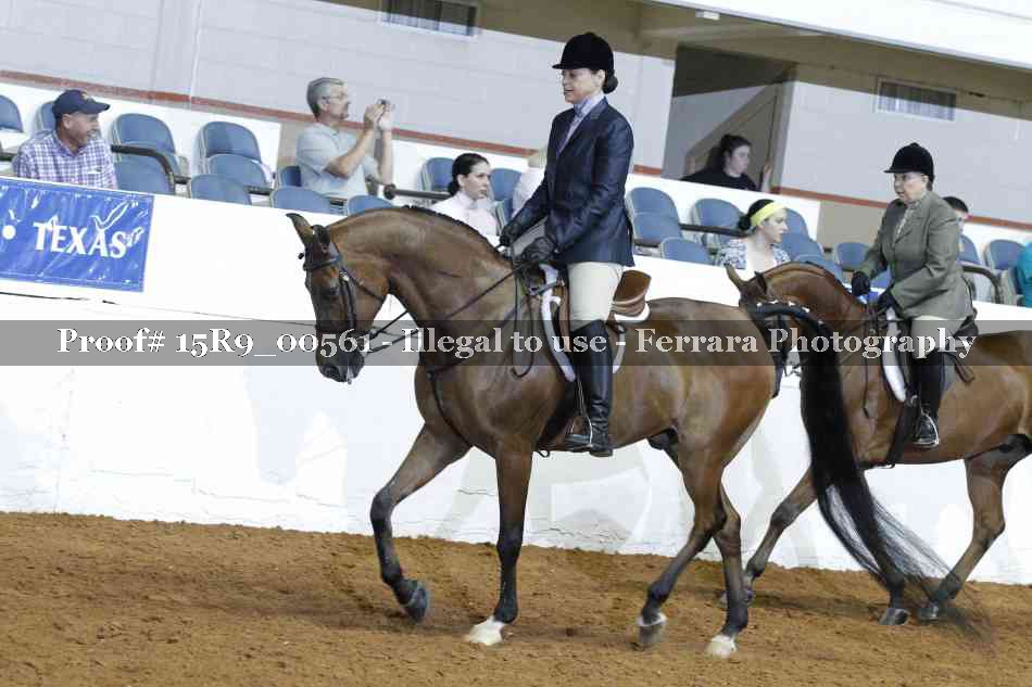Proof Number 15R9_00561