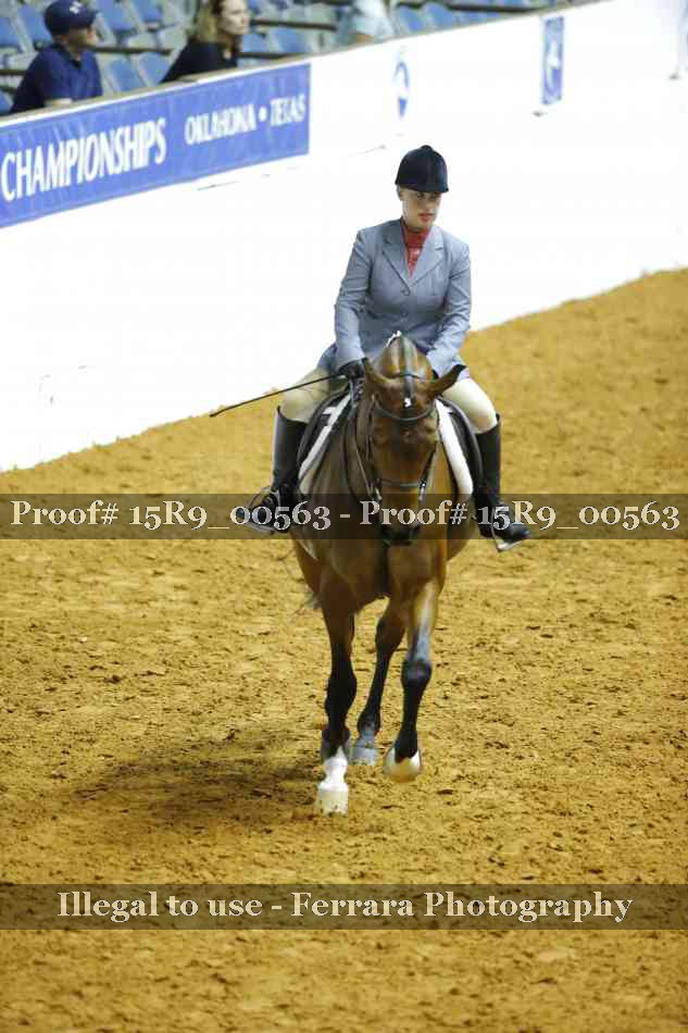Proof Number 15R9_00563