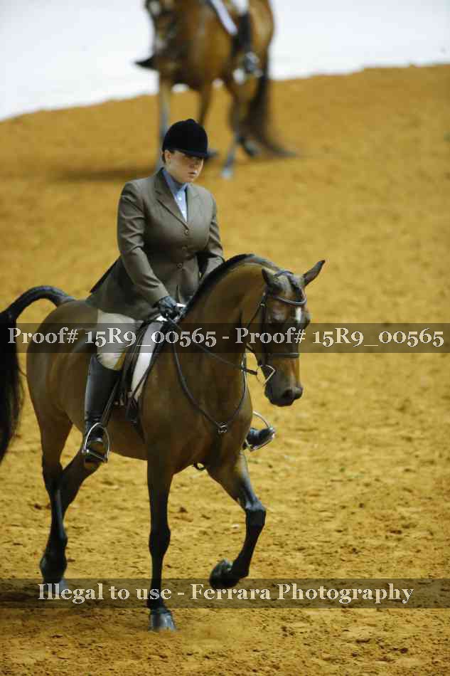 Proof Number 15R9_00565