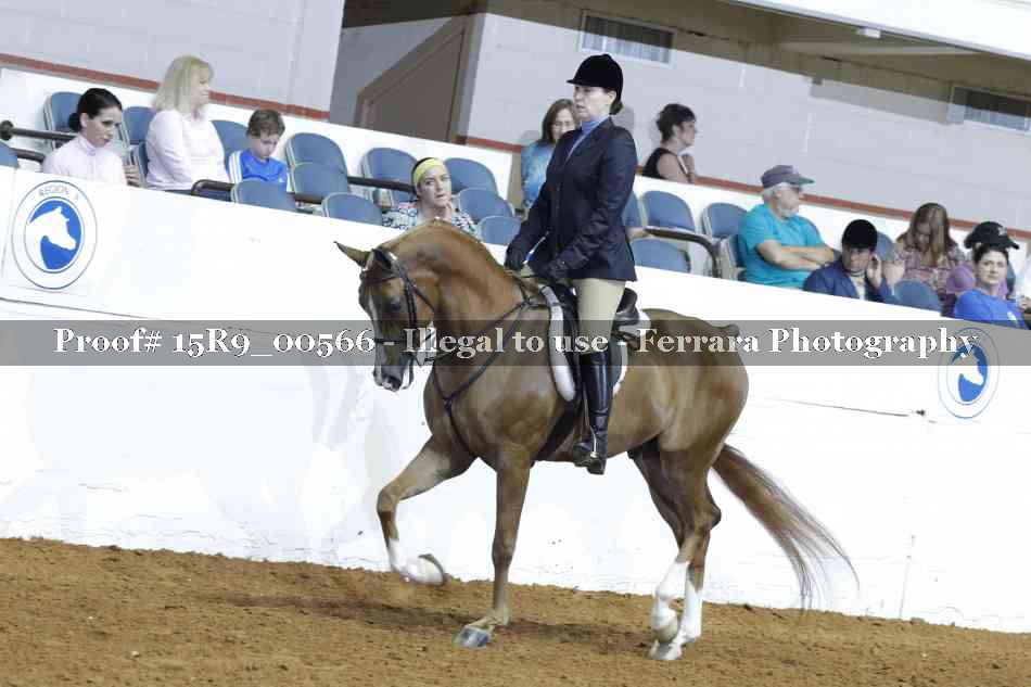 Proof Number 15R9_00566