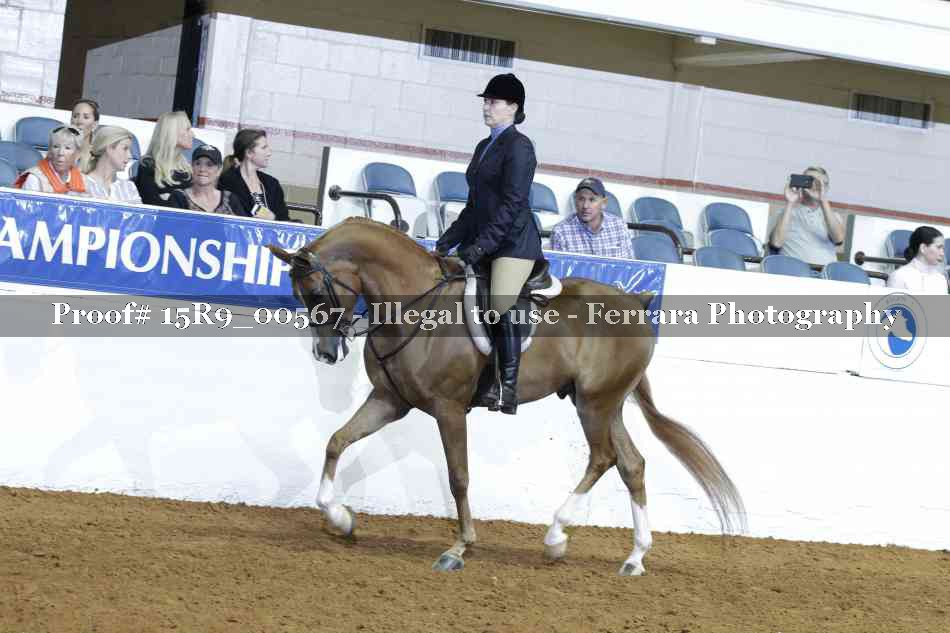 Proof Number 15R9_00567