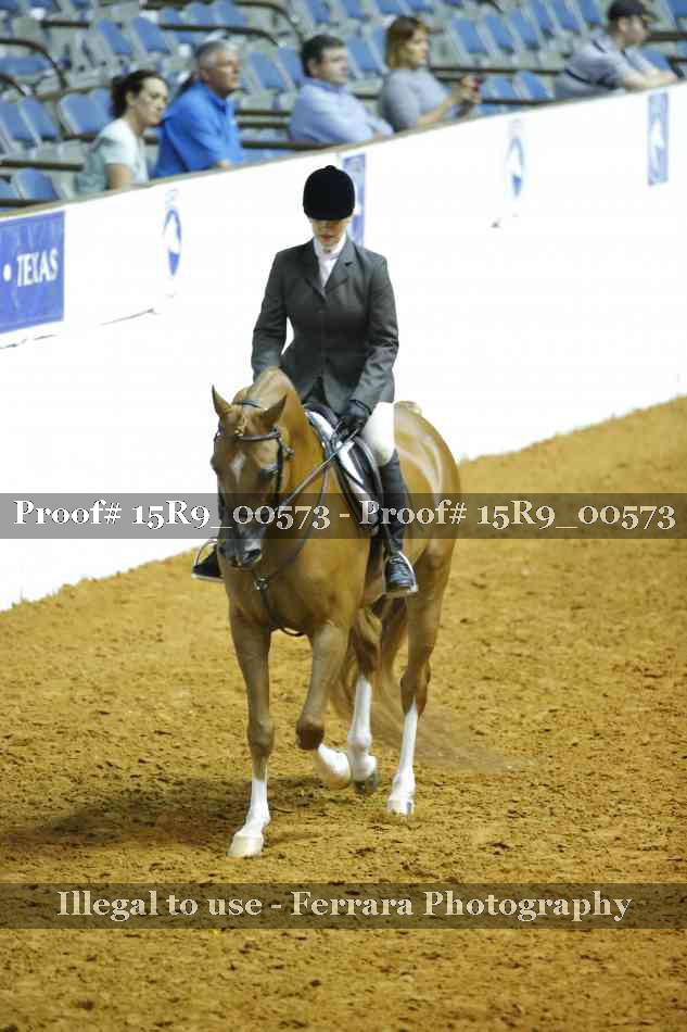 Proof Number 15R9_00573