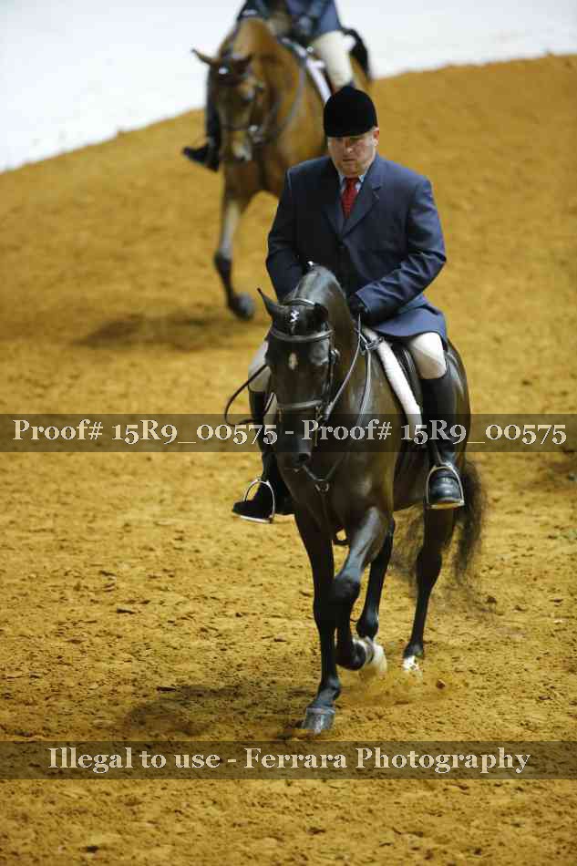 Proof Number 15R9_00575