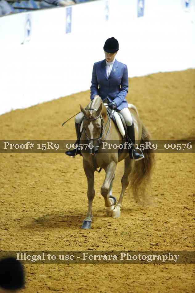 Proof Number 15R9_00576