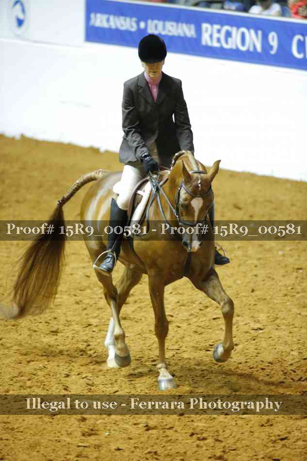 Proof Number 15R9_00581