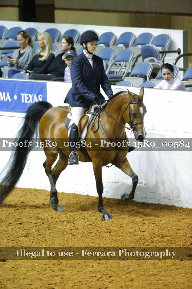 Proof Number 15R9_00584