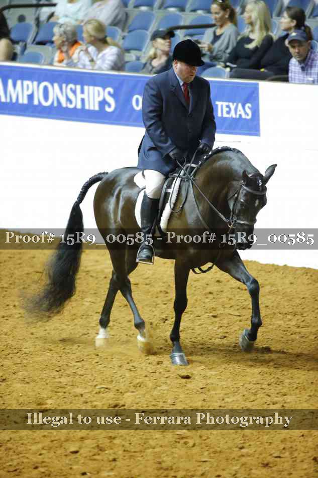 Proof Number 15R9_00585