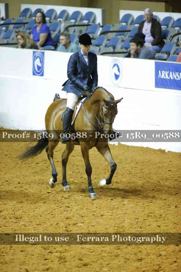 Proof Number 15R9_00588