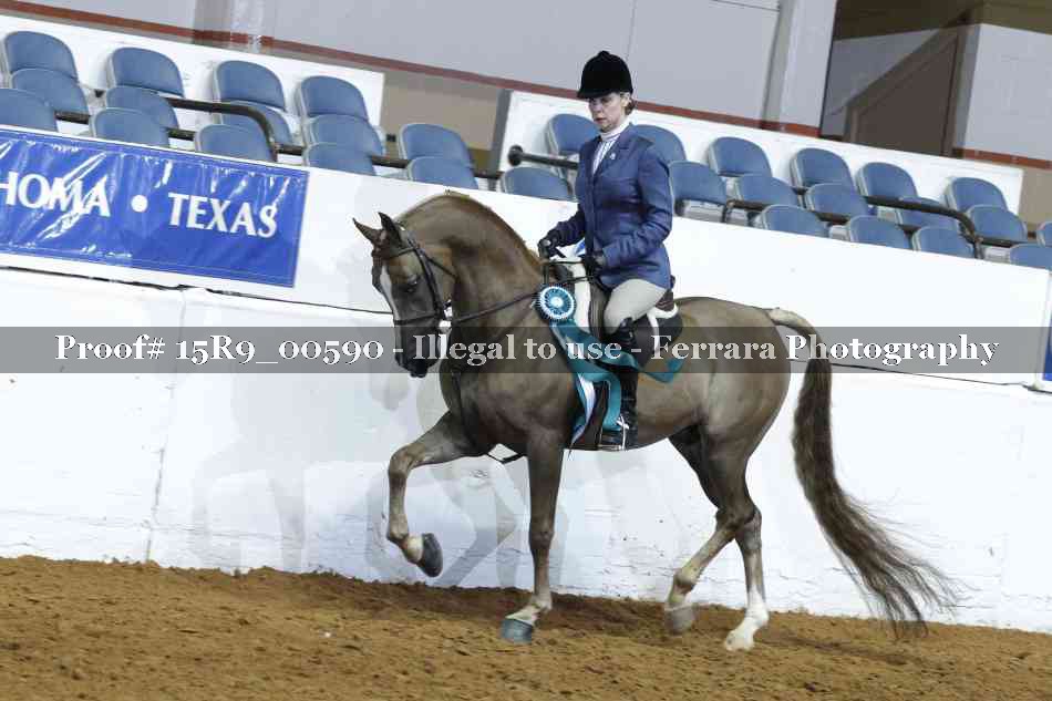 Proof Number 15R9_00590