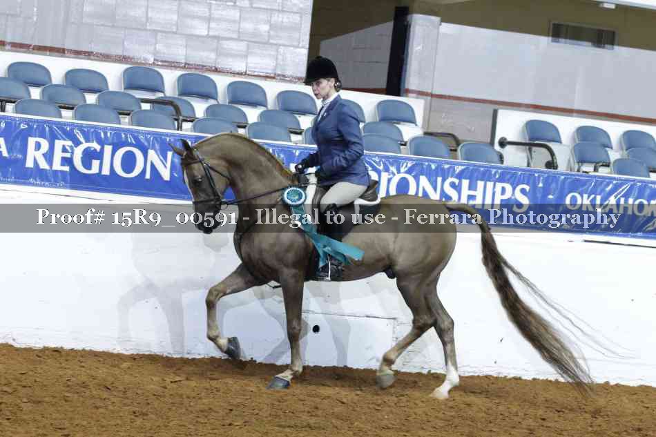 Proof Number 15R9_00591
