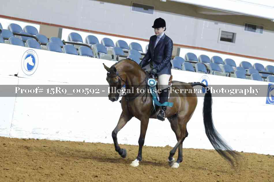 Proof Number 15R9_00592