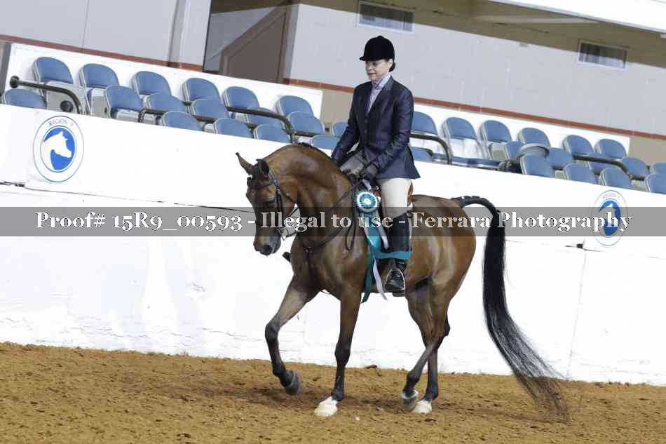 Proof Number 15R9_00593