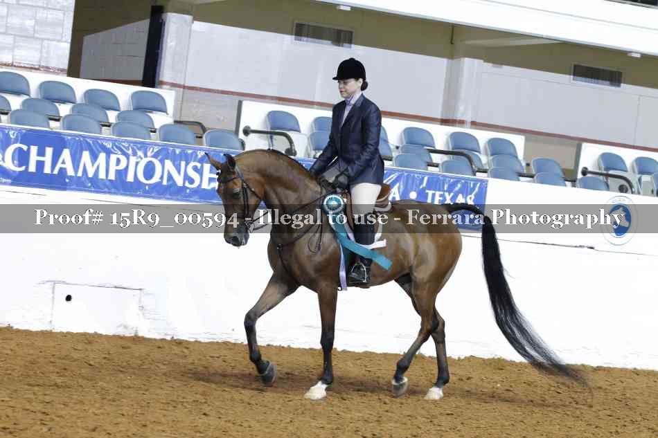 Proof Number 15R9_00594
