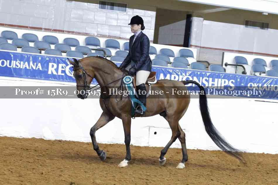 Proof Number 15R9_00595