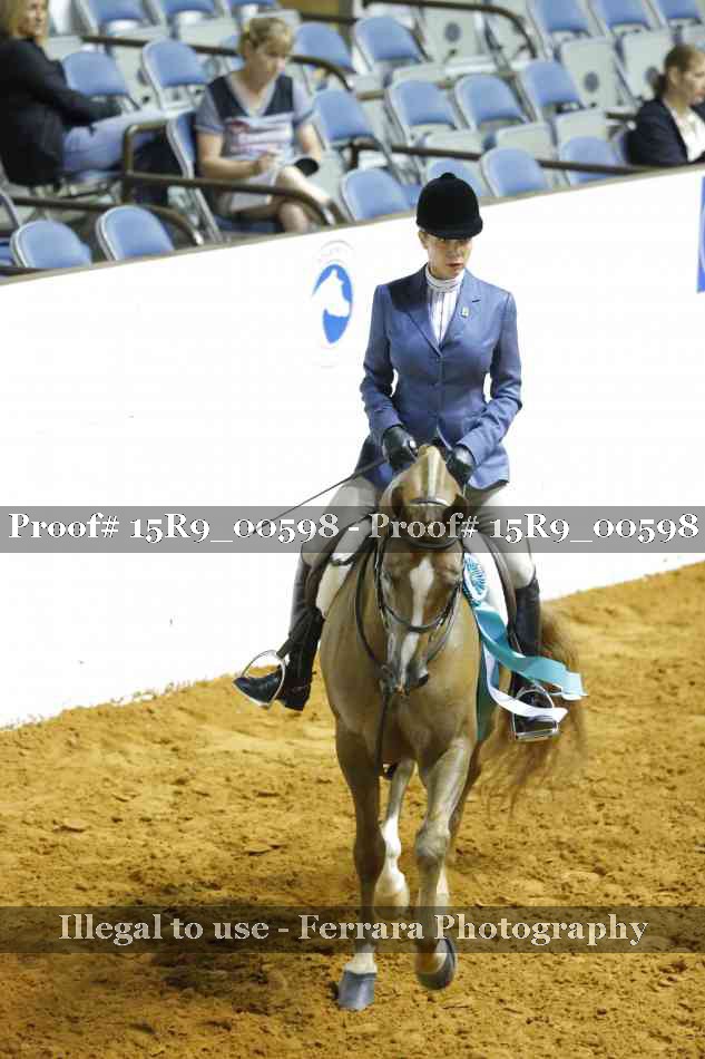 Proof Number 15R9_00598