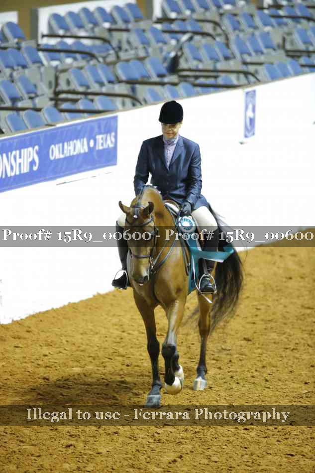 Proof Number 15R9_00600