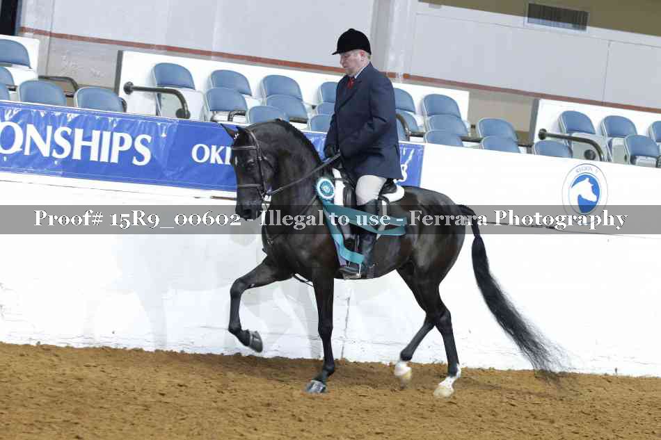Proof Number 15R9_00602