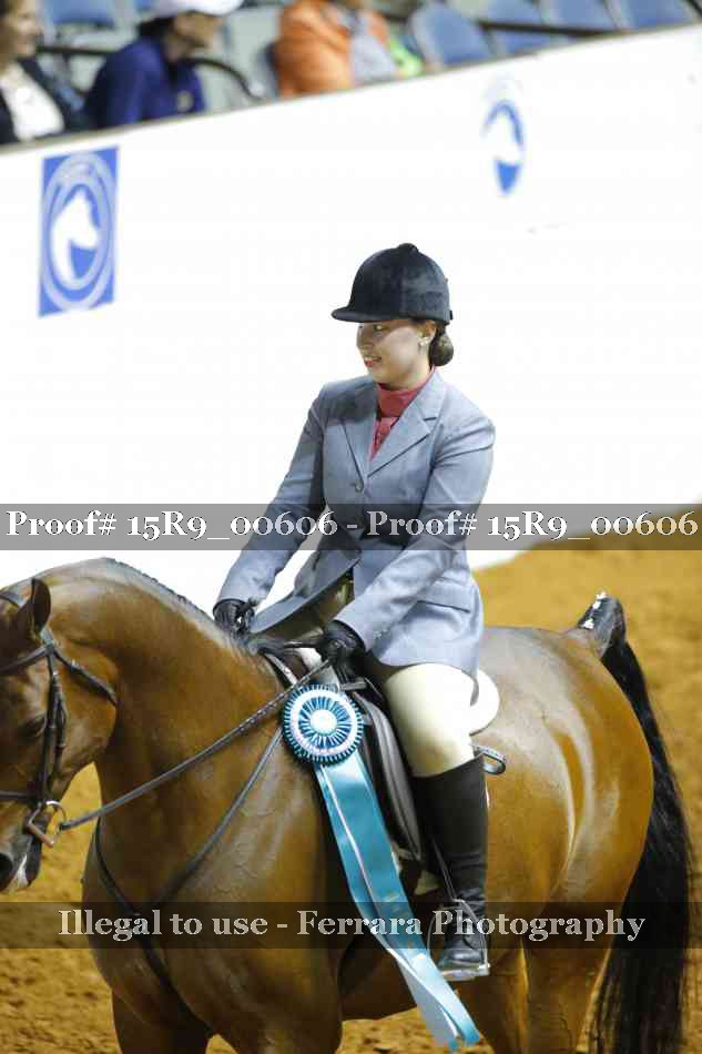 Proof Number 15R9_00606