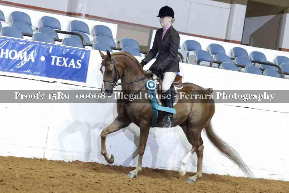Proof Number 15R9_00608