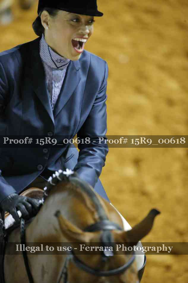 Proof Number 15R9_00618