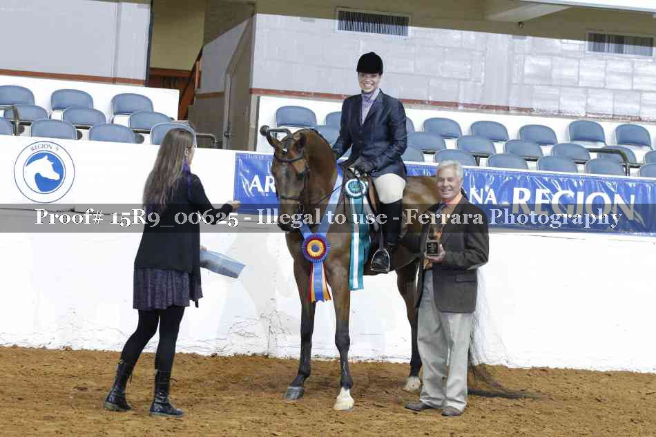 Proof Number 15R9_00625