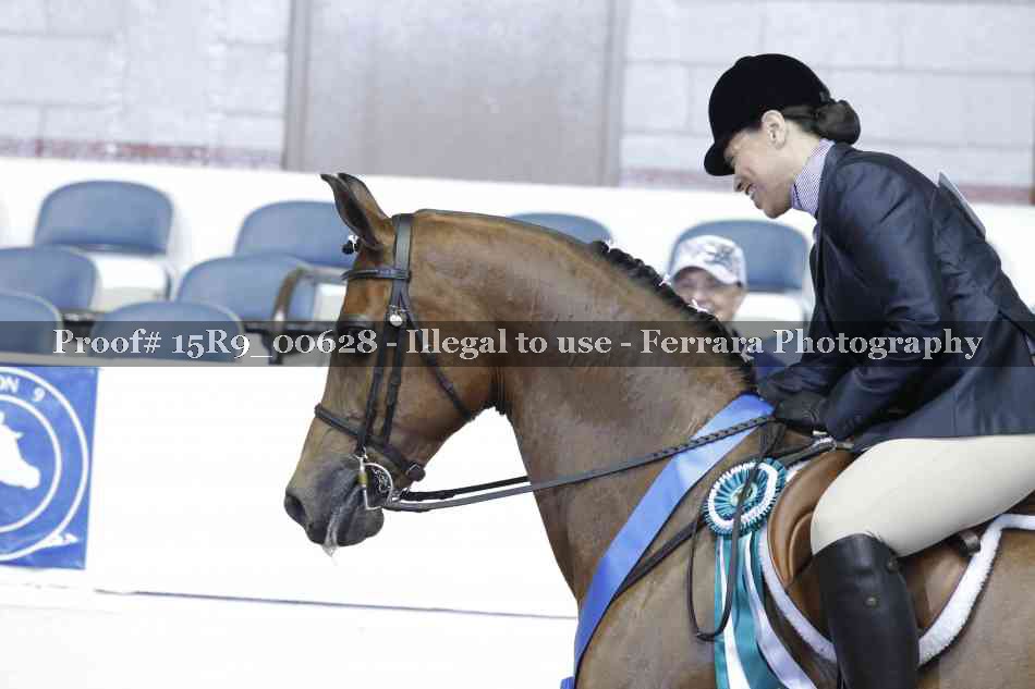 Proof Number 15R9_00628