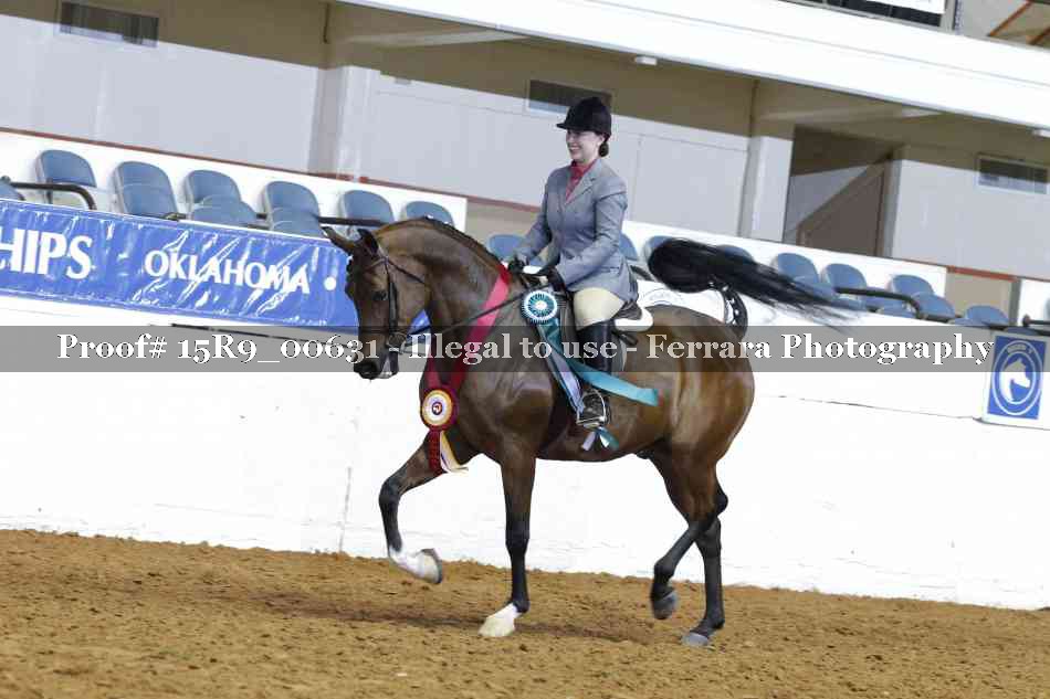 Proof Number 15R9_00631