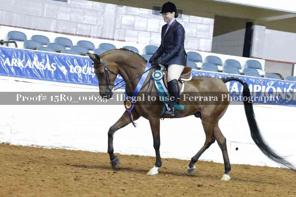 Proof Number 15R9_00635