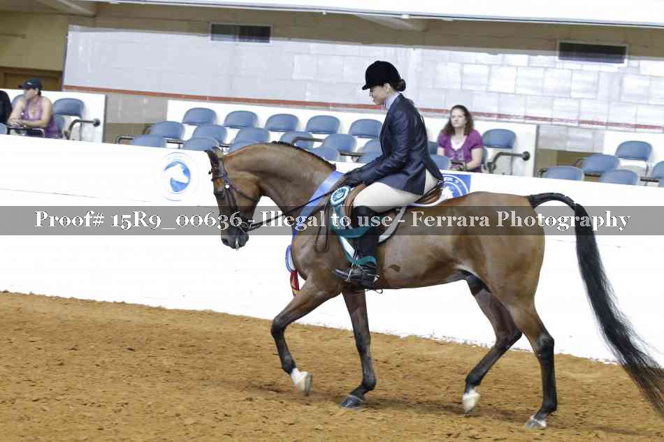 Proof Number 15R9_00636