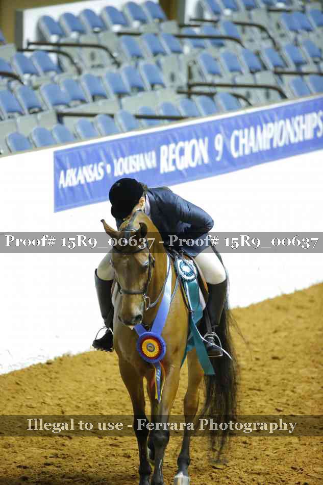 Proof Number 15R9_00637