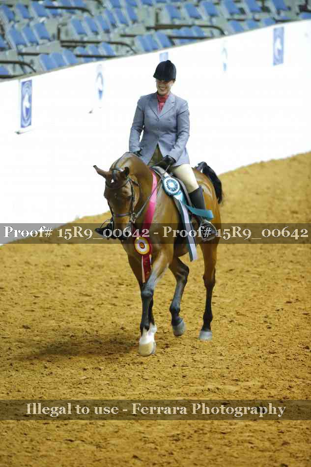 Proof Number 15R9_00642
