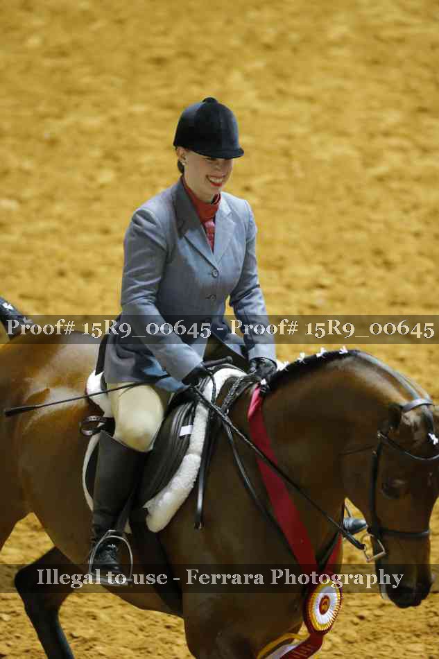 Proof Number 15R9_00645