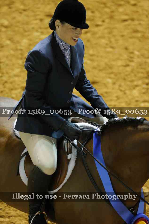 Proof Number 15R9_00653