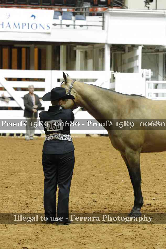 Proof Number 15R9_00680