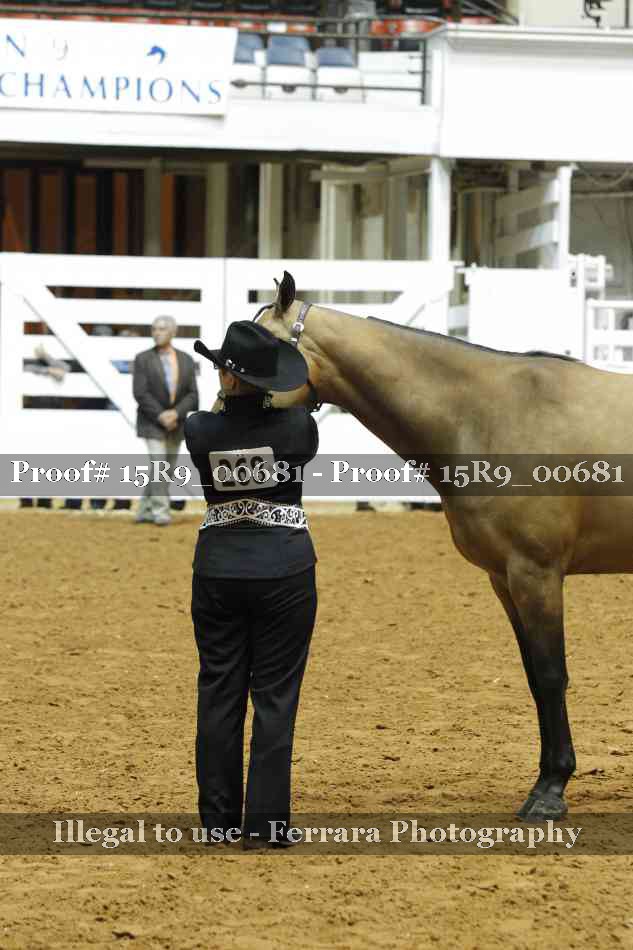 Proof Number 15R9_00681