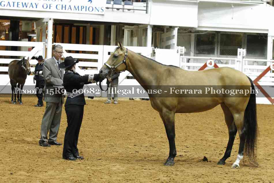 Proof Number 15R9_00682