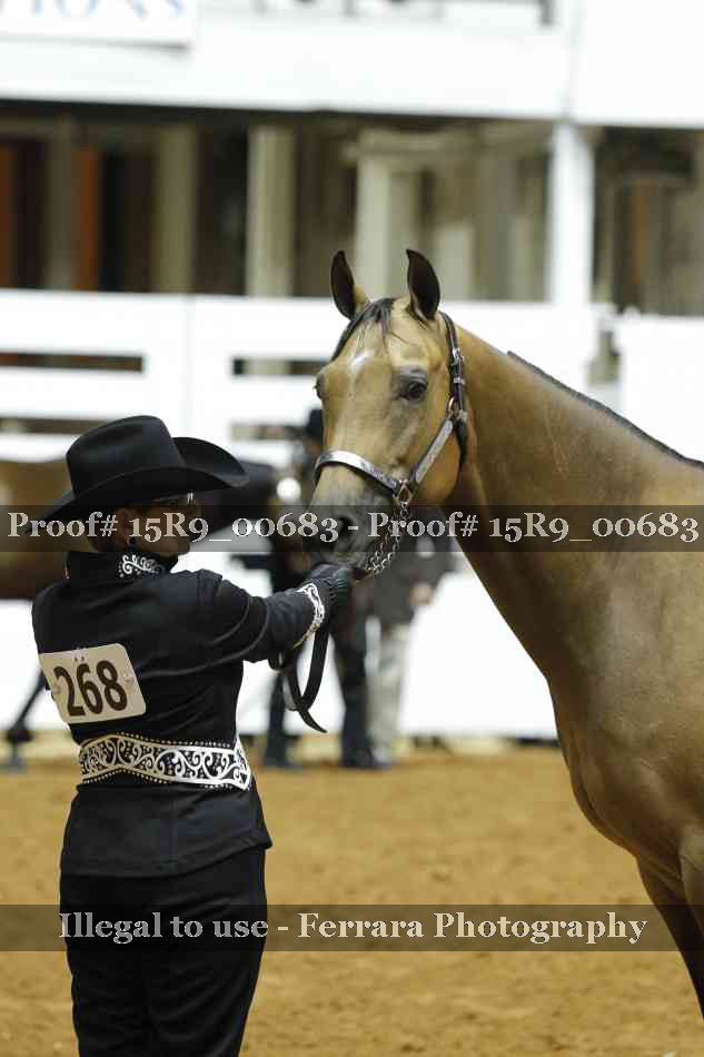 Proof Number 15R9_00683
