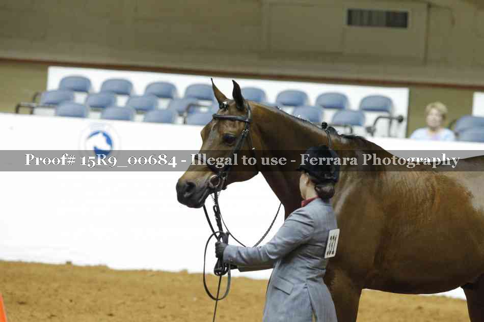 Proof Number 15R9_00684