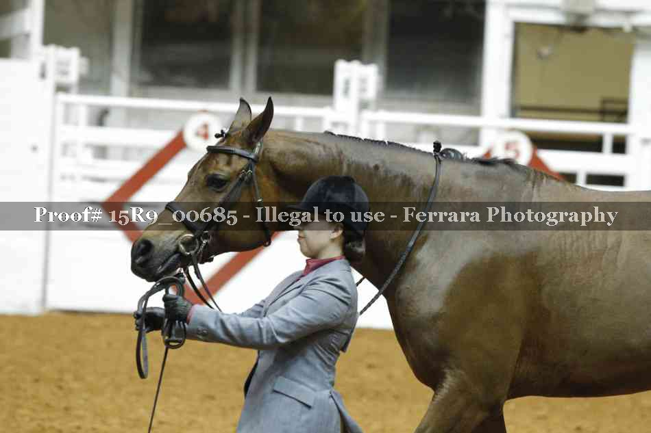 Proof Number 15R9_00685
