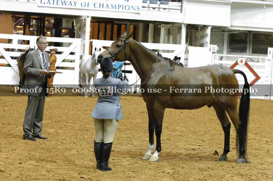 Proof Number 15R9_00686