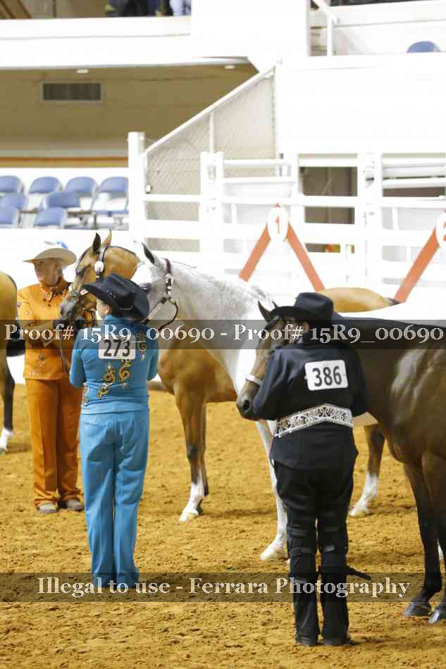 Proof Number 15R9_00690