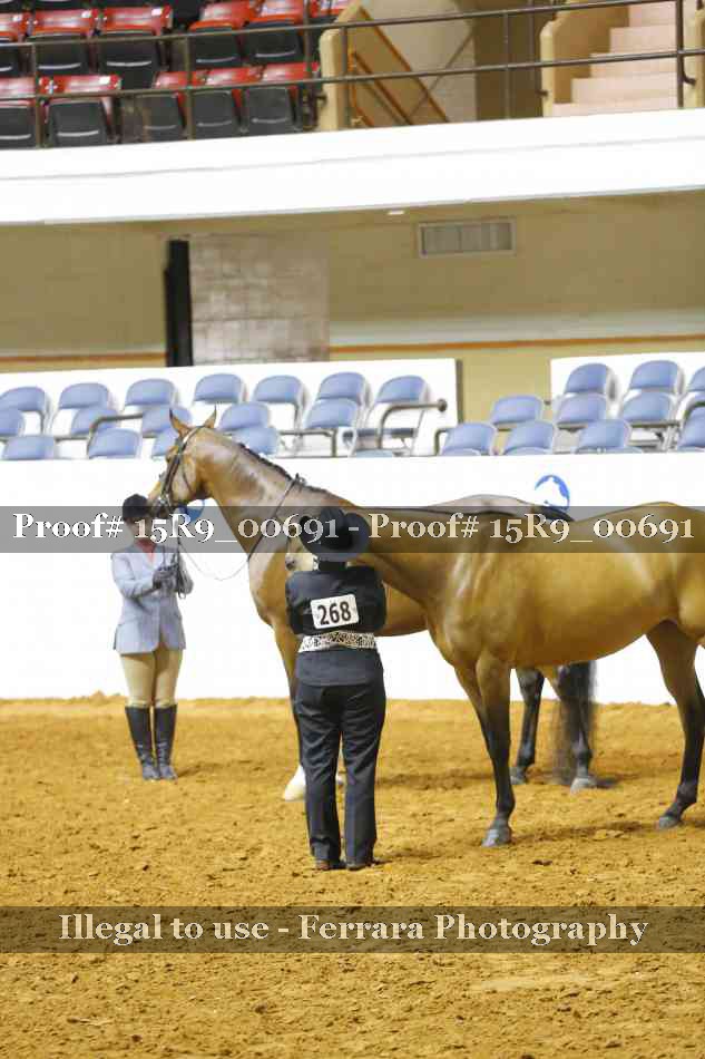Proof Number 15R9_00691