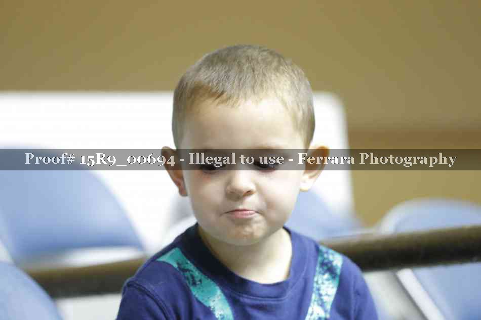 Proof Number 15R9_00694