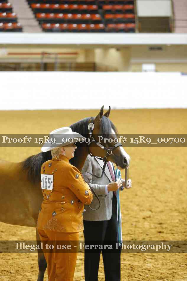 Proof Number 15R9_00700