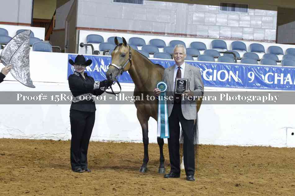 Proof Number 15R9_00701
