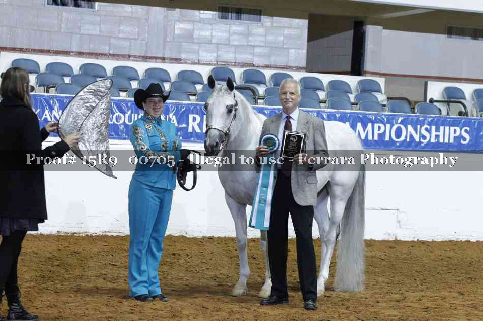 Proof Number 15R9_00705