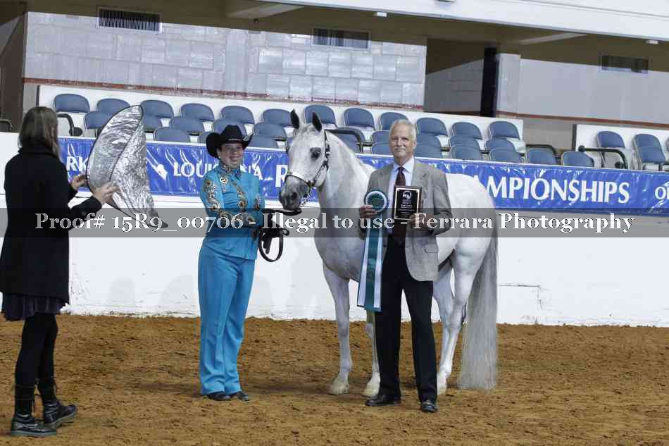 Proof Number 15R9_00706