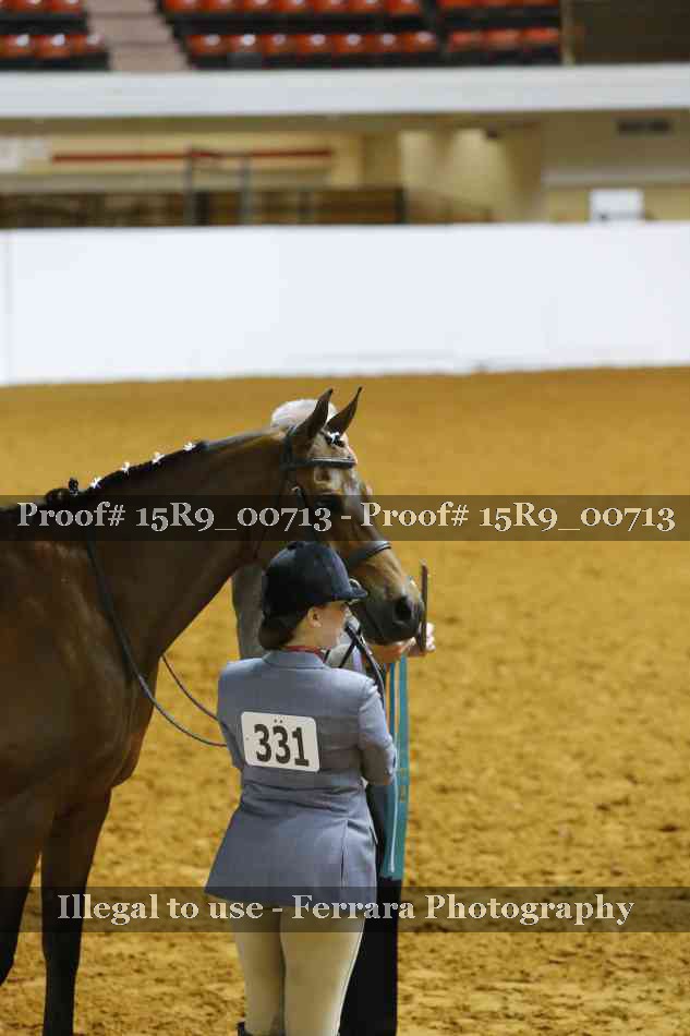 Proof Number 15R9_00713