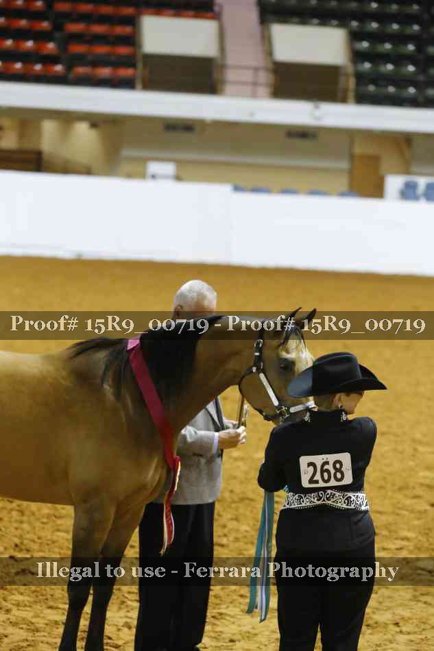 Proof Number 15R9_00719