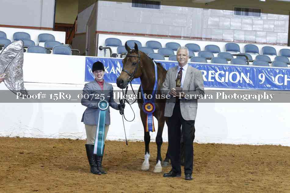 Proof Number 15R9_00725